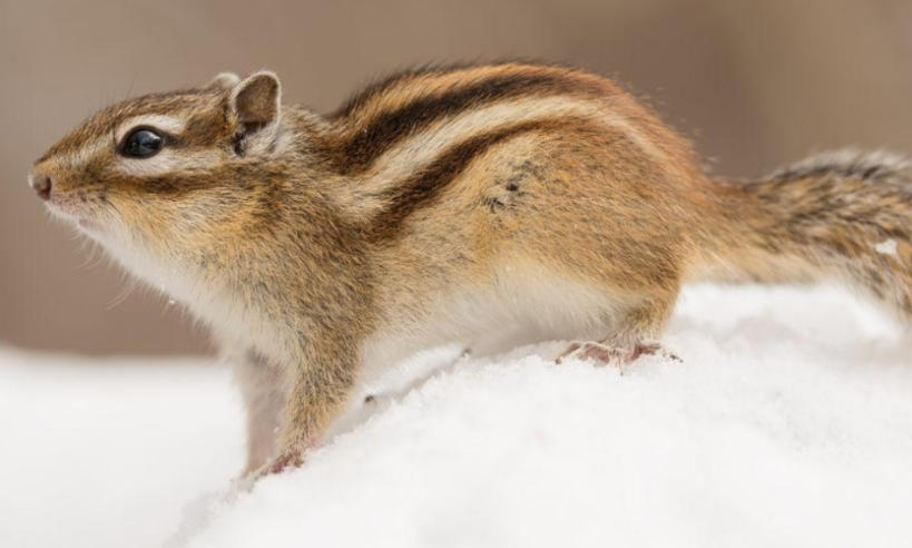 浙江益光机电设备有限公司轮播图4