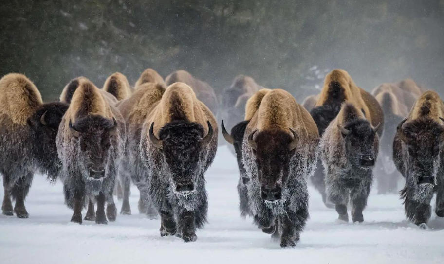 浙江益光机电设备有限公司轮播图5